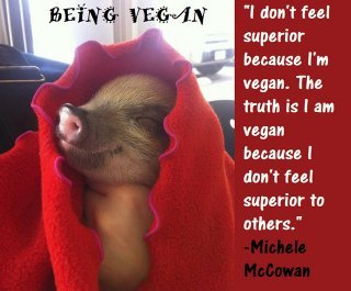 Being Vegan poster featuring Michele McCowan