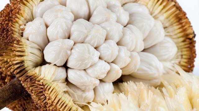 Marang by Harley "Durianrider" Johnstone