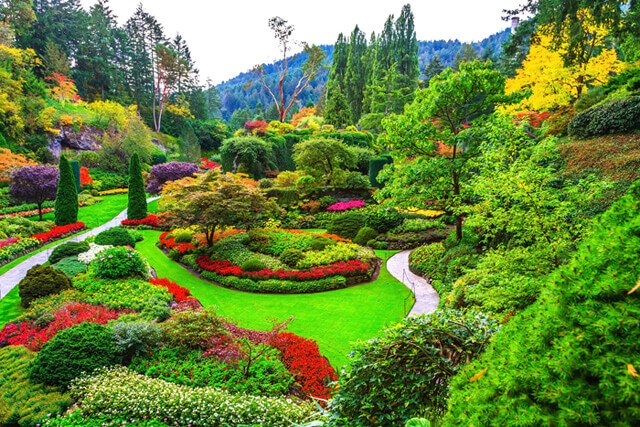 A large, richly colorful healing garden