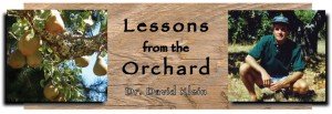 Lesson from the Orchard by Dr. David Klein for Fruit-Powered Magazine