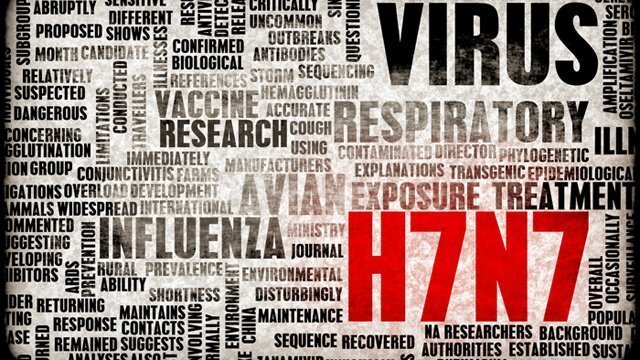 Word cloud featuring influenza