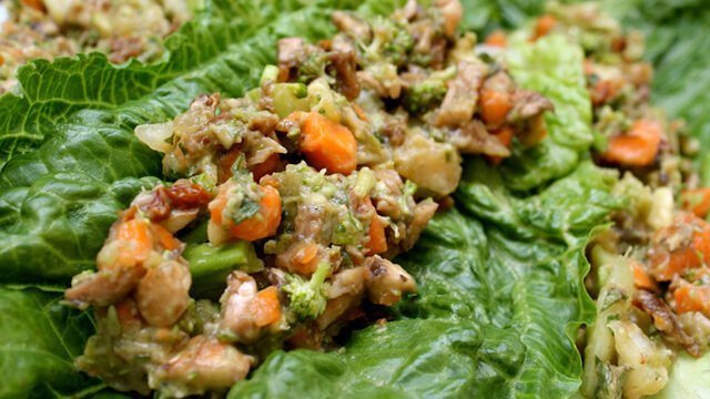 Recipe for Savoury Wraps from Kat Green