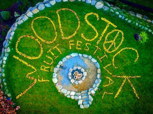 Overhead shot of bananas spelling out "Woodstock Fruit Festival" in 2015