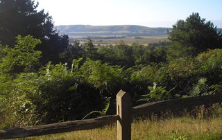 Site of the 2015 UK FruitFest