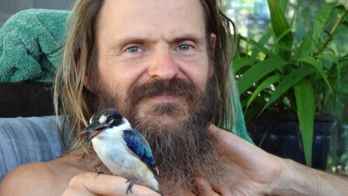 Raw Vegan Transformations - Mango Wodzak with bird perching - Fruit-Powered