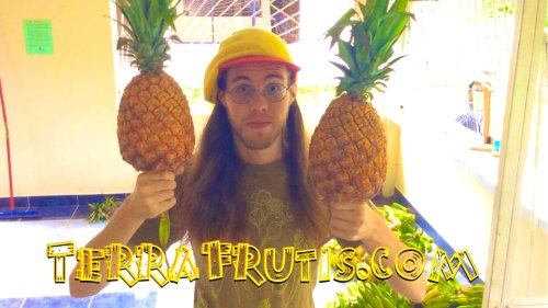 Raw Vegan Transformations - Peter Csere - Terra Frutis - holding pineapples - Fruit-Powered