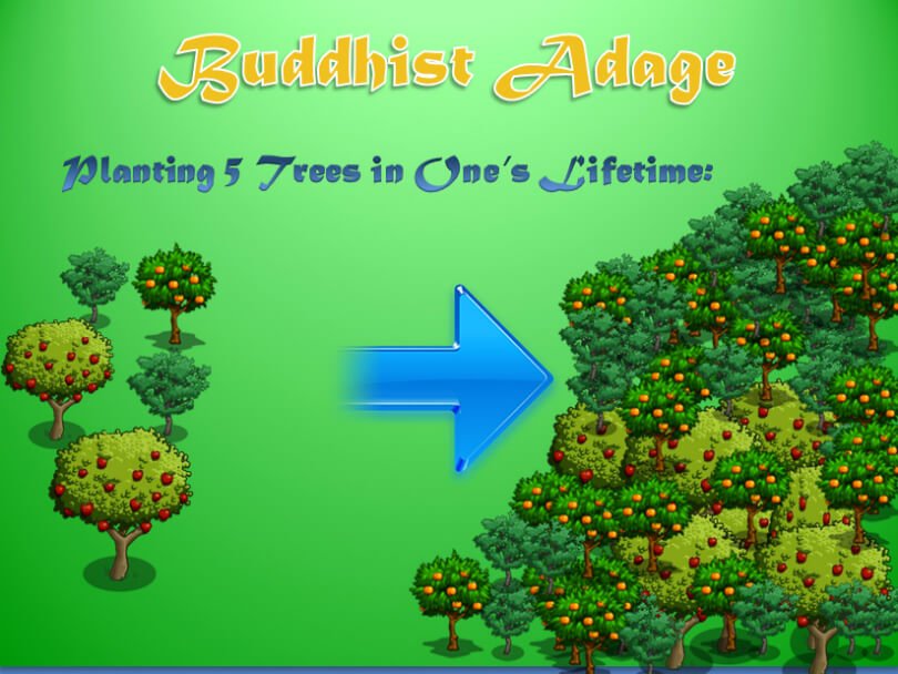 Illustration of Buddhist adage to plant five trees - fruit - flow in life