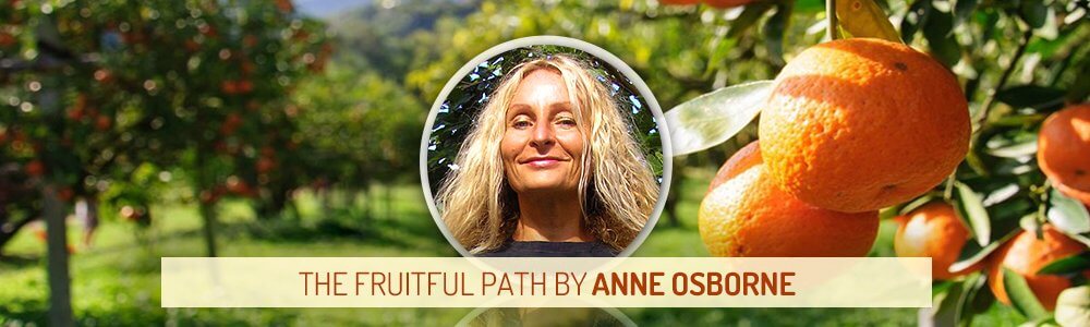 Insight From Natural Health Headers - The Fruitful Path by Anne Osborne - Fruit-Powered