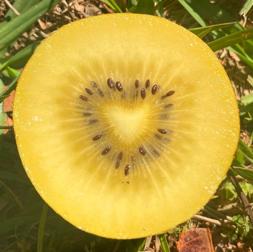 Beauty of fruit - kiwi heart interior - Fruit-Powered