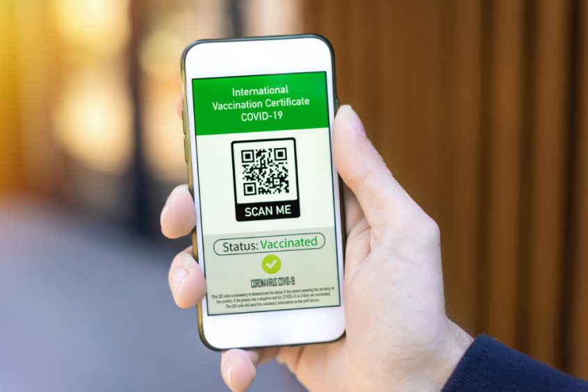 Vaccine passport - man holding smartphone with international COVID vaccination certificate - Fruit-Powered