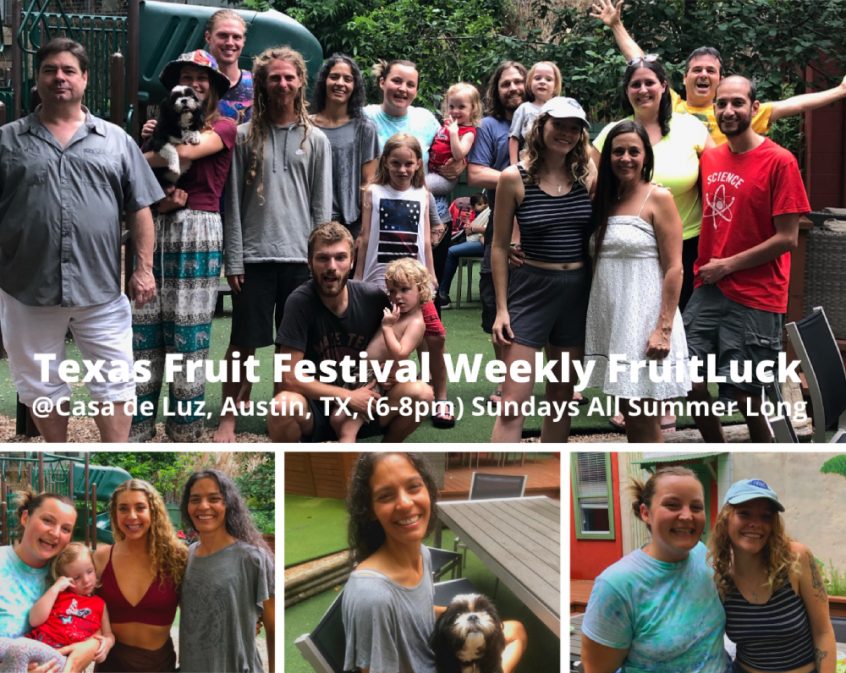 Texas Fruit Festival - Summer FruitLuck collage - Fruit-Powered